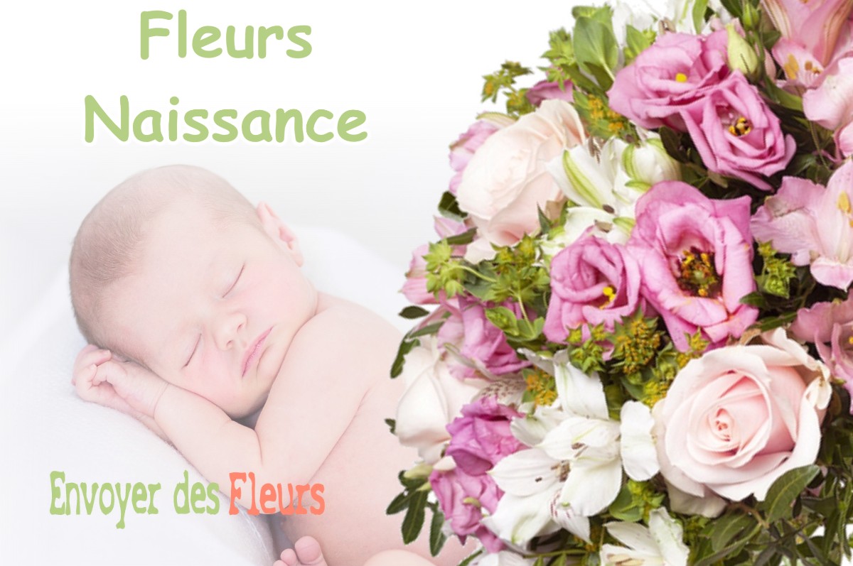 lIVRAISON FLEURS NAISSANCE à BAZUS